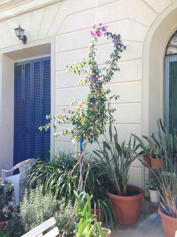 Casa Fornaciari Bed and Breakfast Viareggio Buitenkant foto